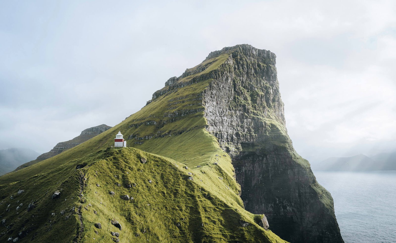 5 Best Ozempic Brands to start your Journey with…